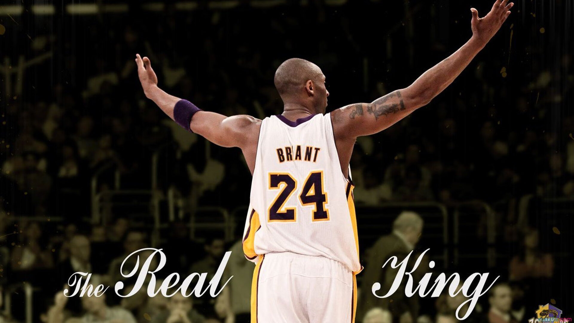 “帕布罗·马特拉：从球场到更高舞台，阿根廷美洲狮队的未来核心”